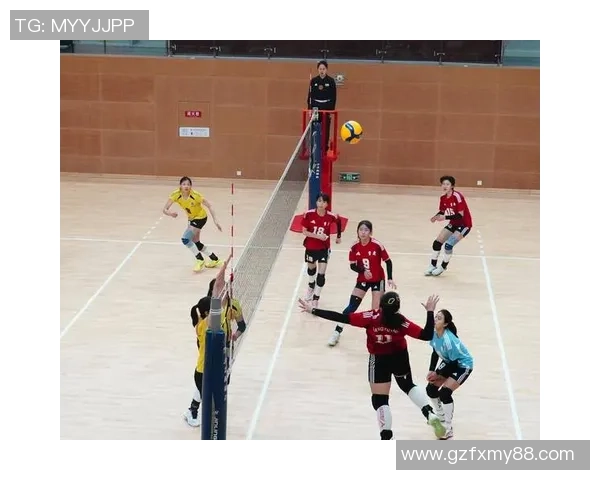 重庆排球队实力强劲荣登全国排球力量排行榜第十位